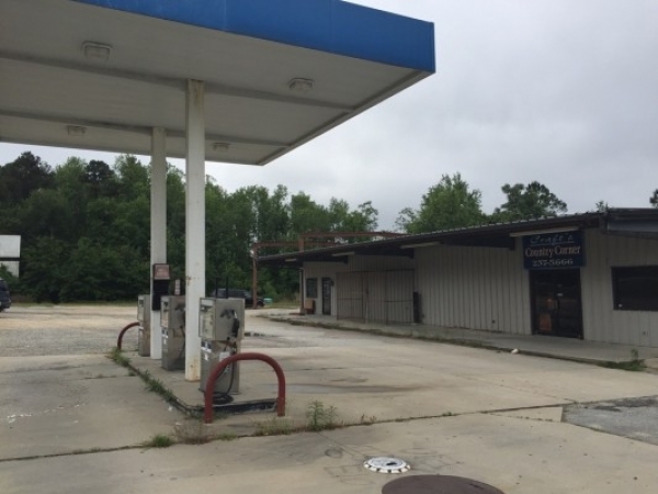 Listing Image #1 - Retail for lease at 85 Dellwood Main Street, Swainsboro GA 30401