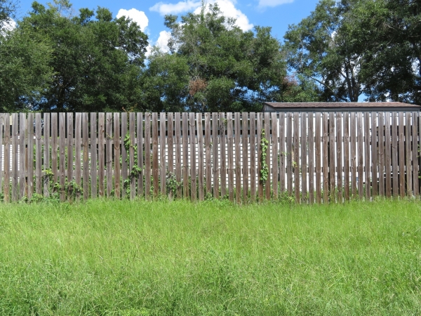 Listing Image #1 - Land for lease at 0 Hyde Park Road, Jacksonville FL 32210