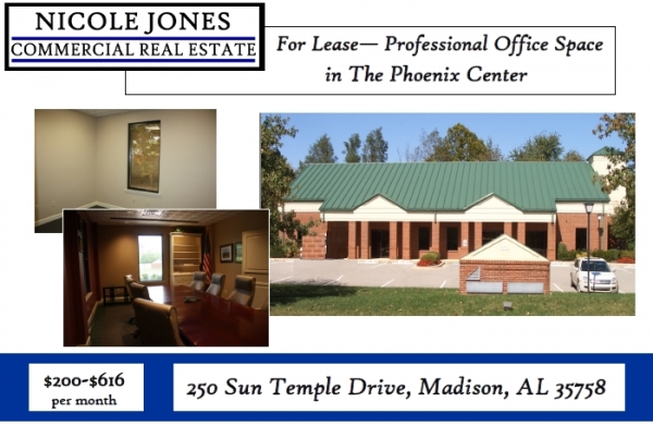 Listing Image #1 - Office for lease at 250 Sun Temple Drive, Madison AL 35758