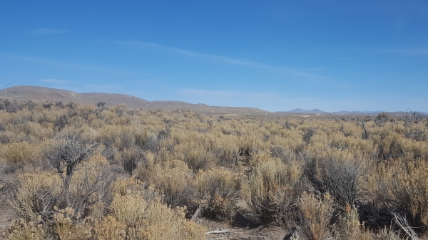 Listing Image #1 - Land for lease at Mountain City Highway, Elko NV 89801