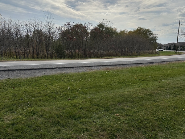 Listing Image #1 - Land for lease at 00 Hunts Park Road, Farmington NY 14425