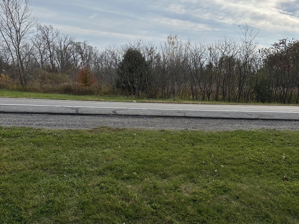 Listing Image #2 - Land for lease at 00 Hunts Park Road, Farmington NY 14425