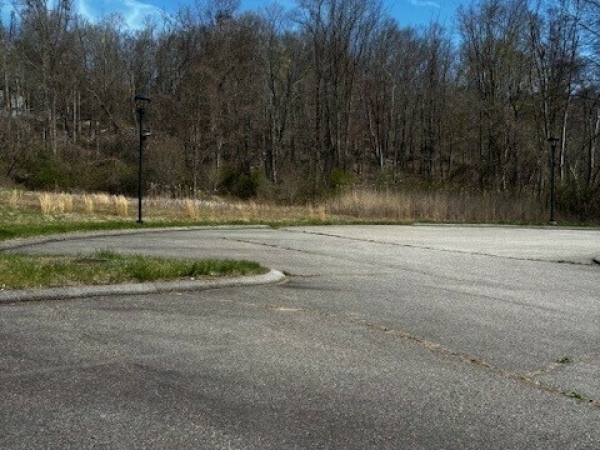 Listing Image #2 - Land for lease at 1384 Main St, Coventry CT 06238