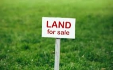 Land property for lease in Shirley, NY