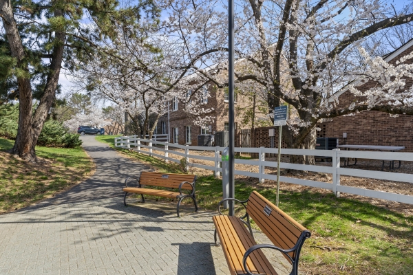 Listing Image #3 - Office for lease at 11739 Bowman Green Dr, Reston VA 20190