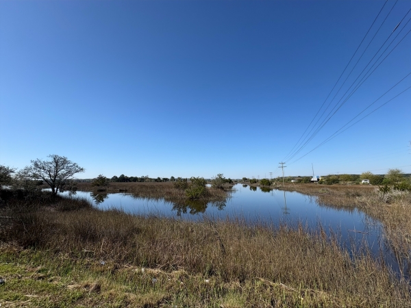 Listing Image #3 - Office for lease at 3937 Savannah Highway, Johns Island SC 29455