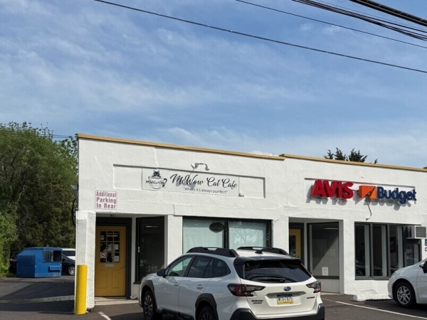 Listing Image #1 - Retail for lease at 3617 Old Easton Road, Doylestown PA 18902