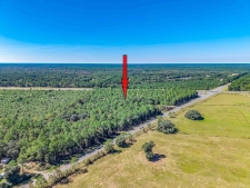 Listing Image #3 - Land for lease at Bloxham Cutoff Rd, 963 CRAWFORDVILLE HWY, 863 CRAWFORDVILLE HWY, Crawfordville FL 32327