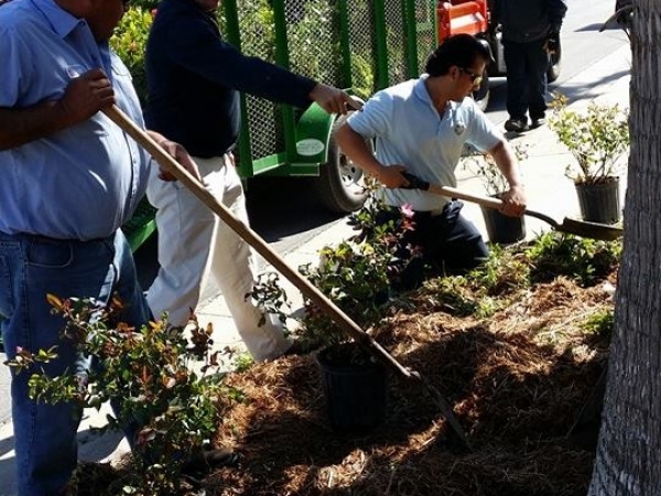 Listing Image #1 - Business for sale at 45539 Fm 510, Laguna Vista TX 78578