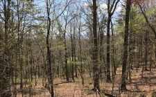 Listing Image #1 - Land for sale at L347 Echo Rd, Morganton GA 30560