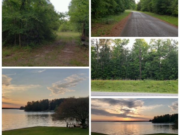 Listing Image #1 - Land for sale at 0 Hwy. 190 West, Livingston TX 77351