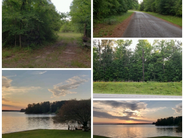Listing Image #1 - Land for sale at 0 Hwy. 190 West and Lake Livingston, Livingston TX 77351 Listing Image #1 - Land for sale at 0 Hwy. 190 West and Lake Livingston, Livingston TX 77351
