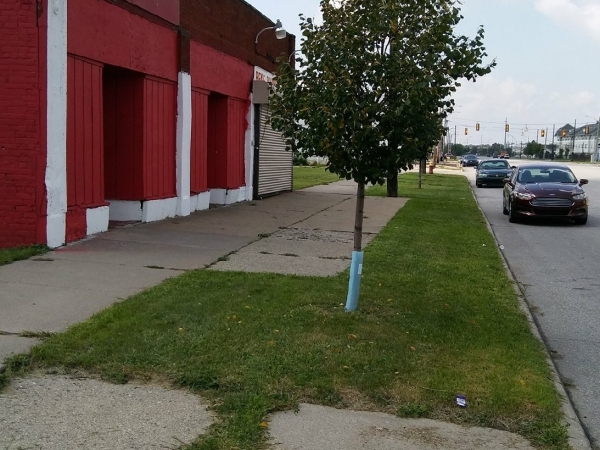 Listing Image #1 - Business for sale at 13124 Mack, Detroit MI 48215