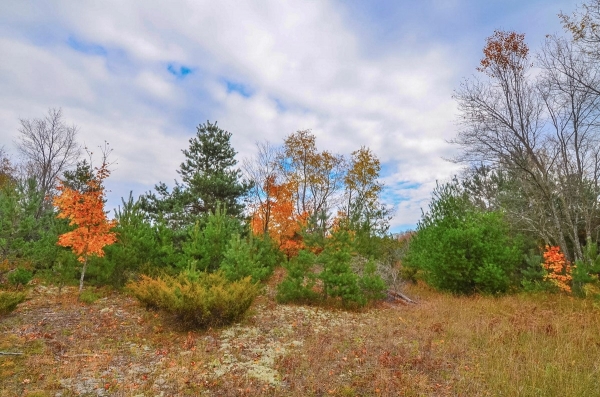 Listing Image #1 - Land for sale at 5 W King Fish Road, Empire MI 49630 Listing Image #1 - Land for sale at 5 W King Fish Road, Empire MI 49630
