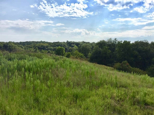 Listing Image #2 - Land for sale at 2984 127th Drive, Amana IA 52203