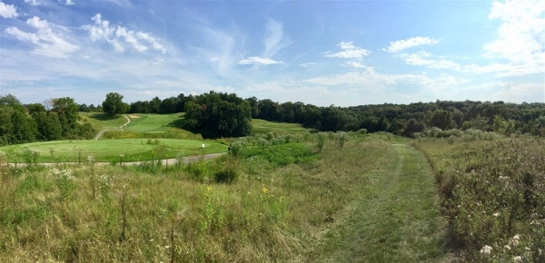 Listing Image #3 - Land for sale at 2984 127th Drive, Amana IA 52203