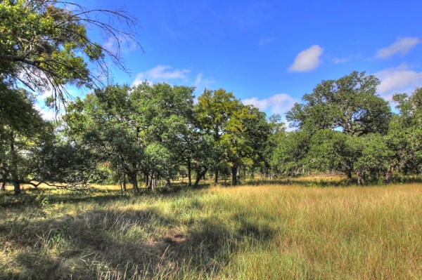 Listing Image #1 - Land for sale at CR 285, Liberty Hill TX 78642