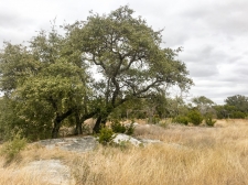 Listing Image #1 - Land for sale at Fox Horn Circle, Marble Falls TX 78654 Listing Image #1 - Land for sale at Fox Horn Circle, Marble Falls TX 78654