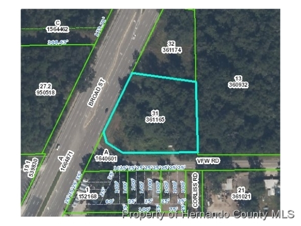 Listing Image #1 - Land for sale at 0 Broad Street, Brooksville FL 34601