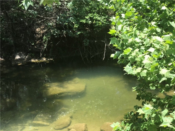 Listing Image #3 - Land for sale at 12600 Pauls Valley Road, Austin TX 78737 Listing Image #3 - Land for sale at 12600 Pauls Valley Road, Austin TX 78737