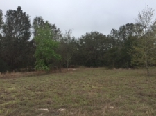 Listing Image #1 - Land for sale at 7803 Lewis Grove Rd, Groveland FL 34736