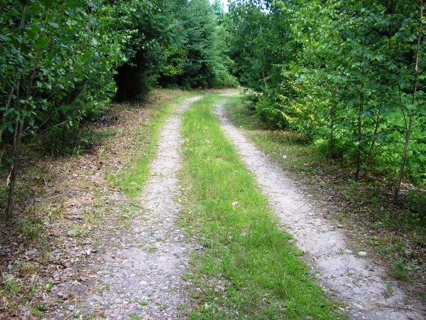 Listing Image #1 - Land for sale at 190 Ramstein Rd., New Hartford CT 06057 Listing Image #1 - Land for sale at 190 Ramstein Rd., New Hartford CT 06057