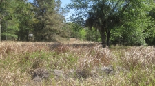 Listing Image #1 - Land for sale at 917 N Lecanto Hwy, Lecanto FL 34461 Listing Image #1 - Land for sale at 917 N Lecanto Hwy, Lecanto FL 34461