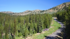 Listing Image #2 - Land for sale at Cable Cove Mine, Sumpter OR 97877