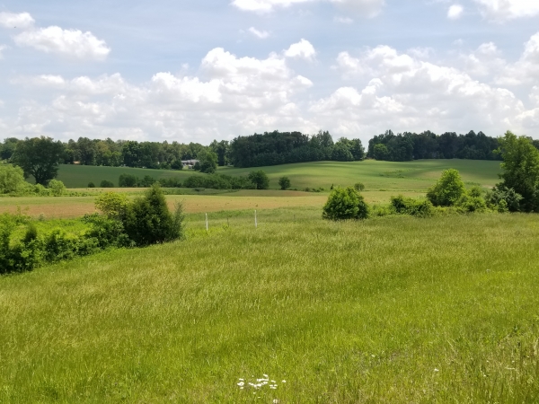 Listing Image #1 - Land for sale at Lincoln Parkway, Elizabethtown KY 42701 Listing Image #1 - Land for sale at Lincoln Parkway, Elizabethtown KY 42701