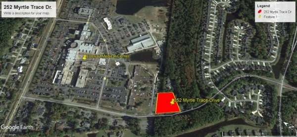 Listing Image #1 - Health Care for sale at 252 Myrtle Trace Drive, Conway SC 29526
