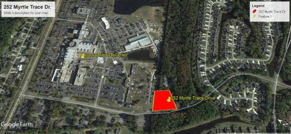 Listing Image #1 - Health Care for sale at 252 Myrtle Trace Drive, Conway SC 29526 Listing Image #1 - Health Care for sale at 252 Myrtle Trace Drive, Conway SC 29526