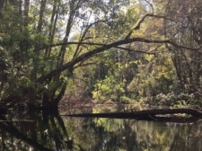 Listing Image #3 - Land for sale at 9050 W Spring Cove Rd, Homosassa Springs FL 34446 Listing Image #3 - Land for sale at 9050 W Spring Cove Rd, Homosassa Springs FL 34446
