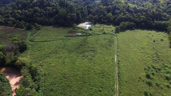 Listing Image #3 - Land for sale at Casey County, Liberty KY 42539 Listing Image #3 - Land for sale at Casey County, Liberty KY 42539