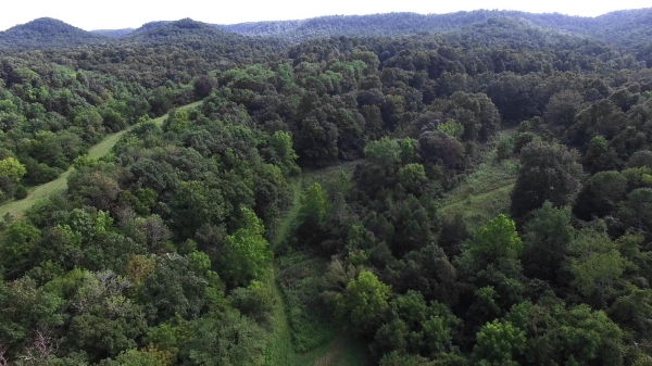 Listing Image #4 - Land for sale at Casey County, Liberty KY 42539 Listing Image #4 - Land for sale at Casey County, Liberty KY 42539