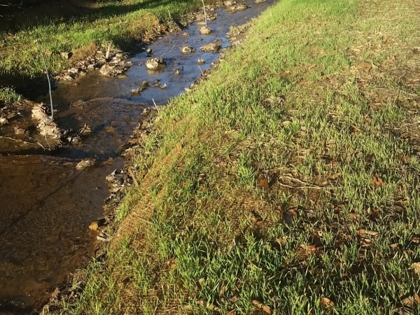 Listing Image #4 - Land for sale at Browns Creek, West Virginia, USA, Welch WV 24801 Listing Image #4 - Land for sale at Browns Creek, West Virginia, USA, Welch WV 24801