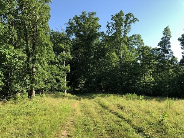 Listing Image #1 - Farm for sale at Marina Ridge Road, Holladay TN 38341 Listing Image #1 - Farm for sale at Marina Ridge Road, Holladay TN 38341