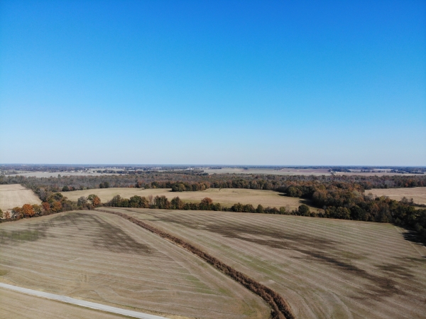 Listing Image #2 - Land for sale at Hickory Grove Road, Brownsville TN 38012 Listing Image #2 - Land for sale at Hickory Grove Road, Brownsville TN 38012