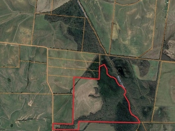 Listing Image #3 - Land for sale at Hickory Grove Road, Brownsville TN 38012 Listing Image #3 - Land for sale at Hickory Grove Road, Brownsville TN 38012
