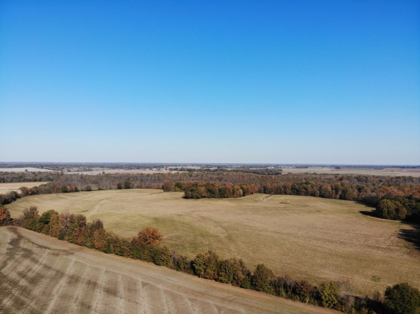 Listing Image #4 - Land for sale at Hickory Grove Road, Brownsville TN 38012 Listing Image #4 - Land for sale at Hickory Grove Road, Brownsville TN 38012