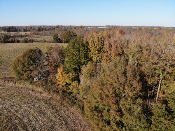 Listing Image #6 - Land for sale at Hickory Grove Road, Brownsville TN 38012 Listing Image #6 - Land for sale at Hickory Grove Road, Brownsville TN 38012