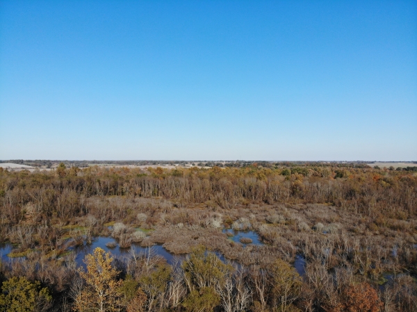 Listing Image #7 - Land for sale at Hickory Grove Road, Brownsville TN 38012 Listing Image #7 - Land for sale at Hickory Grove Road, Brownsville TN 38012
