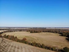Listing Image #4 - Land for sale at Hickory Grove Road, Brownsville TN 38012 Listing Image #4 - Land for sale at Hickory Grove Road, Brownsville TN 38012