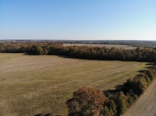Listing Image #5 - Land for sale at Hickory Grove Road, Brownsville TN 38012 Listing Image #5 - Land for sale at Hickory Grove Road, Brownsville TN 38012