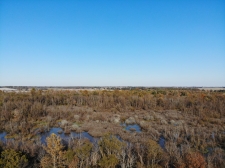 Listing Image #7 - Land for sale at Hickory Grove Road, Brownsville TN 38012 Listing Image #7 - Land for sale at Hickory Grove Road, Brownsville TN 38012