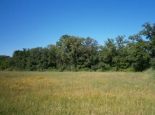 Listing Image #5 - Land for sale at 300 West First Street, Star Prairie WI 54026