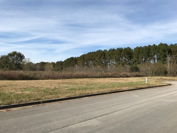 Listing Image #1 - Land for sale at Trade Drive, Athens AL 35611