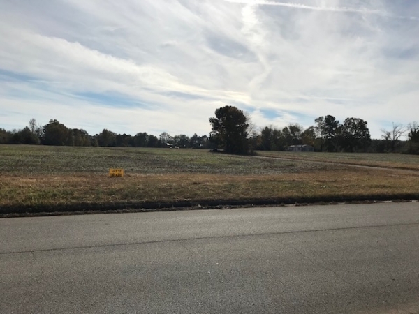 Listing Image #1 - Land for sale at Lot 12, Commercial Drive, Athens AL 35611