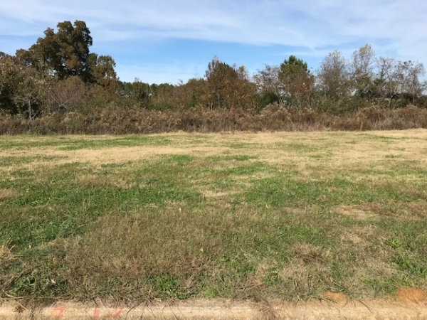 Listing Image #1 - Land for sale at Lot 8, Commercial Drive, Athens AL 35611