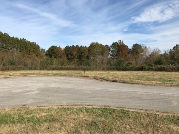Listing Image #1 - Land for sale at Lot 19, Trade Drive, Athens AL 35611