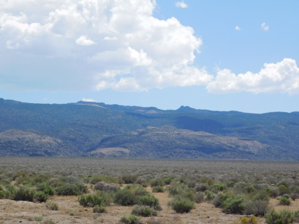 Listing Image #1 - Land for sale at 1234 Highway 93, Alamo NV 89001